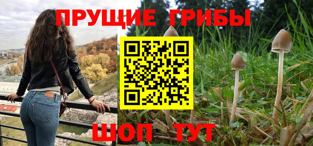 как найти закладки  Галлюциногенные грибы Psilocybe  Вход с VPN  Мирный 